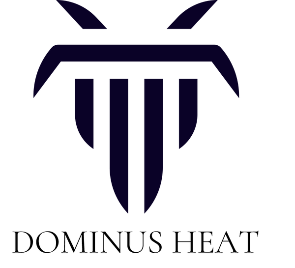 Dominusheat logo